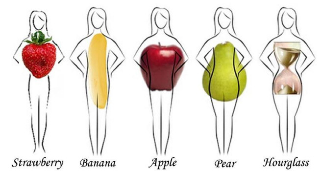 Body Type Chart